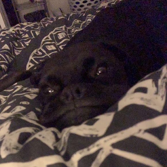 Profile Picture of Jocelyn Kotek (@jocelyn_kotek) on Poshmark