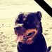 Profile Picture of Peter Gargiuli (@peter.landais) on Facebook