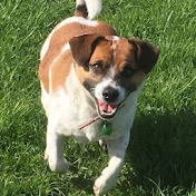 Profile Picture of Michael Fleig (@fleigmichael) on Youtube