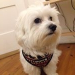 Profile Picture of BobbyDixon (@bobbydixon690) on Instagram