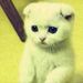 Profile Picture of Alexander Ding (@ading0305) on Pinterest