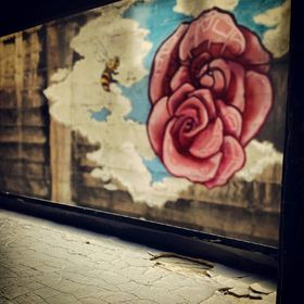 Profile Picture of Kyra Gillert (@kyralyra) on Pinterest