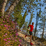 Profile Picture of C. Brake (@c.brake79) on Flickr