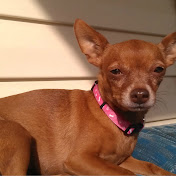 Profile Picture of Brian Ocampo (@brianocampo3270) on Youtube