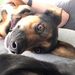 Profile Picture of Brian Heffron (@brianpheffron) on Pinterest