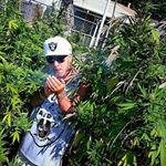Profile Picture of Richard Milner💯💯💯💯 (@rich.ard5307) on Instagram