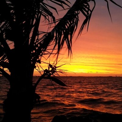Profile Picture of Brad Helin (@brad_helin) on Twitter