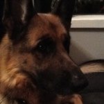 Profile Picture of Thea Lerbrekk (@thea_lerbrekk) on Instagram