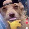 Profile Picture of Andrew Jeffers (@@jeffers99) on Tiktok