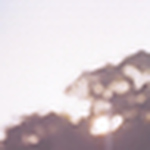 Profile Picture of chris chung (@chris.chung) on Flickr