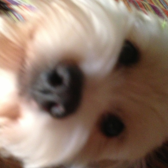 Profile Picture of Carrie Hagerbaumer (@chagerbaumer) on Poshmark