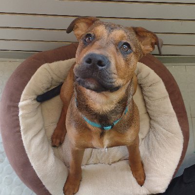 Profile Picture of Summer Patterson (@FS_SummerP) on Twitter