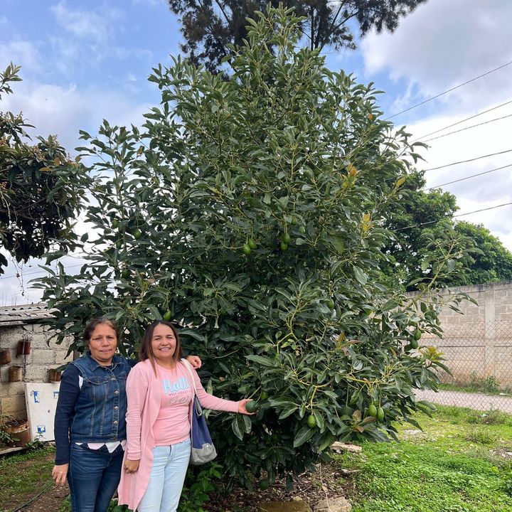 Profile Picture of Irene Becerril (@irene.becerril8) on Tiktok
