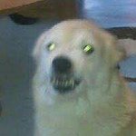 Profile Picture of Kevin Tonks (@tonkskevin) on Instagram