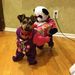 Profile Picture of Candace Aaron (@candace1st) on Pinterest