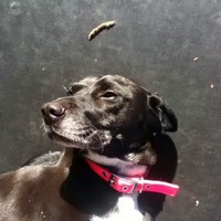 Profile Picture of Thomas Summerfield (@thomas-summerfield-3) on Quora