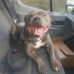 Profile Picture of Barry Norton (@@barrynorton0) on Tiktok