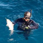 Profile Picture of Daniele de Simone (@dds_spearfishing) on Instagram
