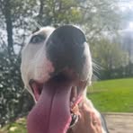 Profile Picture of Jeffrey Swartz (@Jeffrey-Swartz) on Facebook