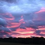 Profile Picture of Shelly Howe (@howe5889) on Instagram