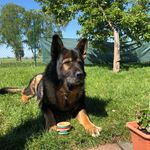 Ferenc Borbely - Instagram Profile Picture of Ferenc Borbely (@ferenc5423) on Instagram