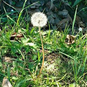 Profile Picture of Pia Rivas (@piarivas1874) on Youtube