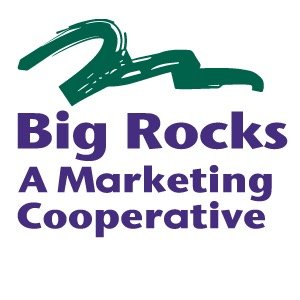 Profile Picture of Brett C McCarty (@bigrocksmktg) on Twitter