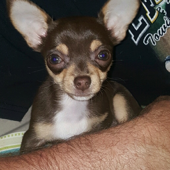 Profile Picture of Billie Mayhugh (@dinker888) on Poshmark