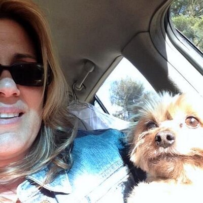 Profile Picture of Susan Bickford (@susanbick) on Twitter