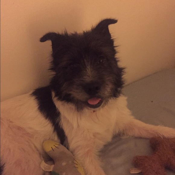 Profile Picture of Michaela Miracle (@michaela17179) on Poshmark