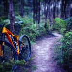 Profile Picture of Scott Rhodes (@trail_and_tarmac) on Instagram