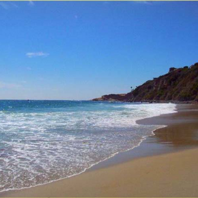 Profile Picture of Susan C. Fredericks (@SouthCASmiles) on Twitter