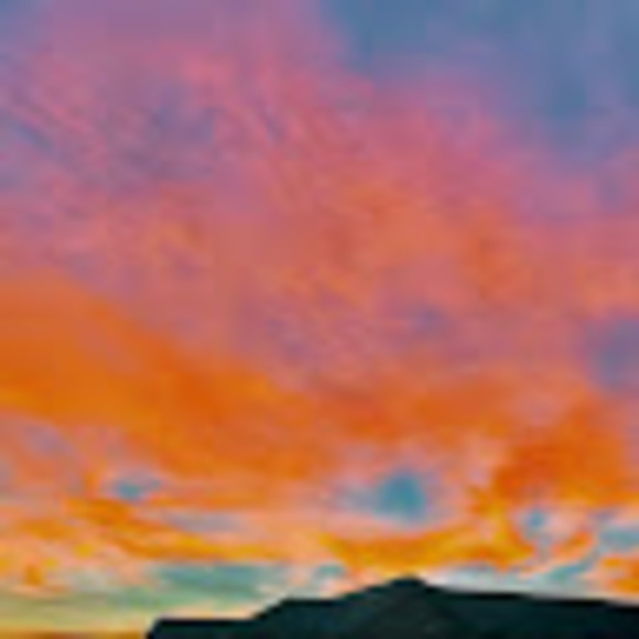 Profile Picture of Shea Mickey (@sheajmickey) on Poshmark