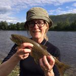 Profile Picture of Karin Engström (@karin.engstroom) on Instagram