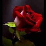 Profile Picture of Thomas Peretti (@totoprupia) on Instagram