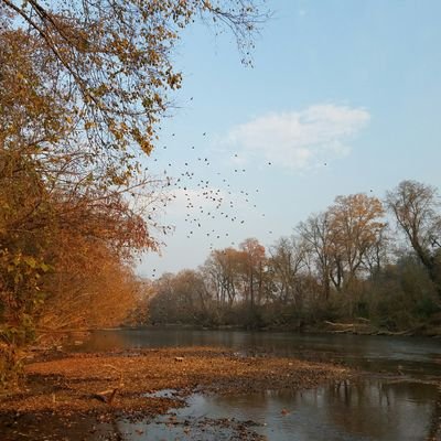 Profile Picture of XxsavageboixX (@ray_frady) on Twitter