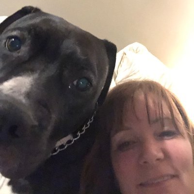 Profile Picture of Cindy Petry (@cindypetry64) on Twitter