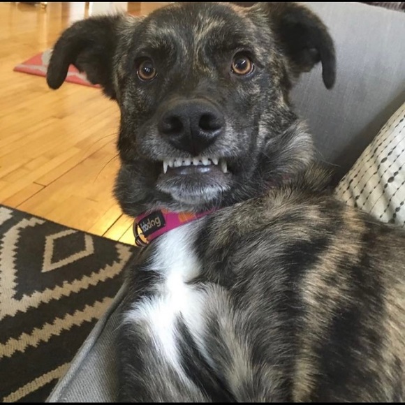 Trey Vaughn - Poshmark Profile Picture of Trey Vaughn (@johnnyviii229) on Poshmark