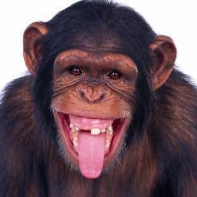 Profile Picture of Kevin Bryan Koster (@BryanKevinbryan) on Twitter