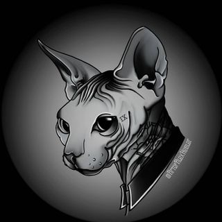 Alexandra Heisler - Instagram Profile Picture of Alexandra Heisler (@artofalexheisler) on Instagram