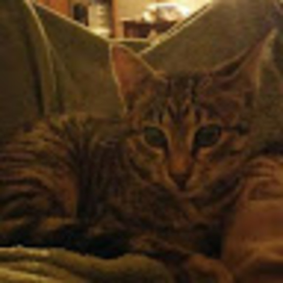 Profile Picture of Lexi Luckow (@lexibob2014) on Poshmark