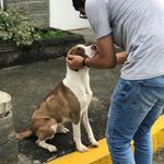 Daniel Andres Lancheros - Instagram Profile Picture of Daniel Andres Lancheros (@daniellancheros1993) on Instagram