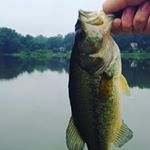 Profile Picture of Kevin (@kevin_fishing310) on Instagram