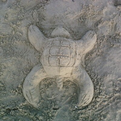 Profile Picture of Aaron Trost (@aarontrost10) on Twitter