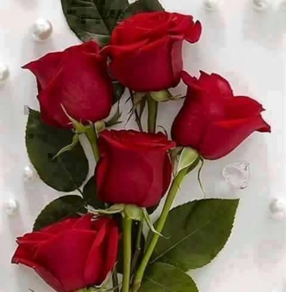 Profile Picture of Nora Paz (@norapaz914) on Poshmark