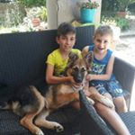 Profile Picture of Andrea Mazzola (@andreamazzola010) on Instagram