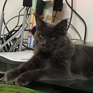 Teddy Tong - Facebook Profile Picture of Teddy Tong (@Teddy-Tong) on Facebook