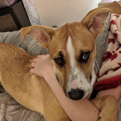 Profile Picture of Mattie Jean (@Mattie_Cake13) on Twitter