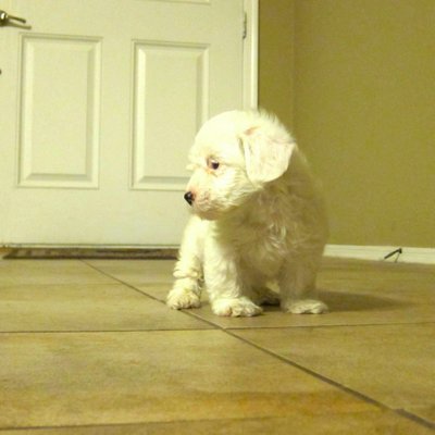 Profile Picture of Jake Mahoney (@jakemahoney12) on Twitter