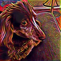 Profile Picture of Joyce Wagoner (@joyce-wagoner-1) on Quora